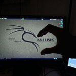 Kali Linux люблю1.jpg